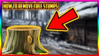 Medieval Dynasty How To Remove Tree Stumps