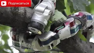 Топ 10 роботов животных  Top 10 robotov zhivotnyih