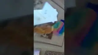выбирашки🤔