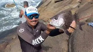 PESCARIA NA ILHA DE URUBUQUEÇABA - SANTOS
