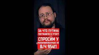 За что Путина поставили в угол? Спросим у мобилизованных из в/ч 95411