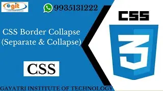 CSS Border Collapse (Separate & Collapse) | GIT Education