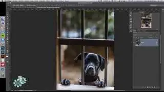 Cómo utilizar el tampón de clonar en Photoshop