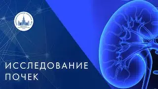 🔎 Исследование почек. Современные методы исследования почек. МНОЦ МГУ. 18+