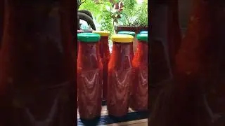 Аджика Чили просто и быстро!#рецепт #перец#острыйсоус #