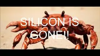 mnzp crab rave 8