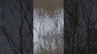 Smoke him! 