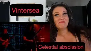 VINTERSEA - Celestial Abscission. New Singer!!!!!