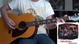 Nirvana - Pennyroyal Tea (Guitar Cover)