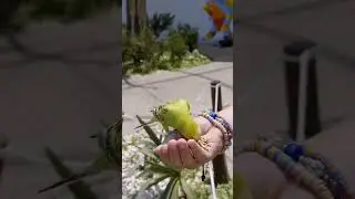 Feeding the birds... #nature #NaturePhotography
