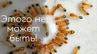 Интересные и загадочные природные явления