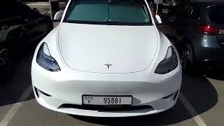 TESLA WHITE AND BLACK