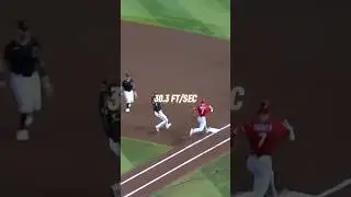Top 5 Fastest Players in MLB 🏃🏼‍♂️💨