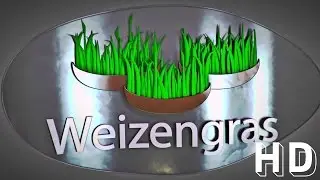 Custom Intro für Weizengras | Intro Maker