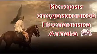 17 апреля 2021 г.