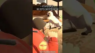 Солдат и ЕГО КОТЁНОК! [TF2] 