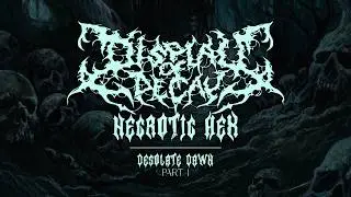 Display of Decay - 