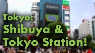 Tokyo: Shibuya and Tokyo Station!