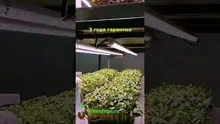 Стеллаж для рассады и микрозелени