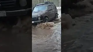 11 апреля 2024 г.