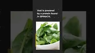 What other foods we eat can power our homes?? Comment below 👇🏽👇🏽👇🏽 #shorts #facts #science