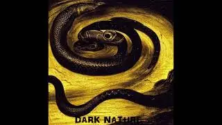 Dark Nature (Official Audio)