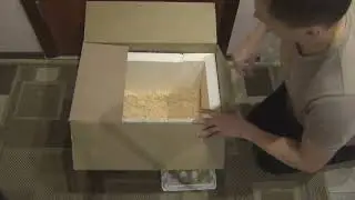 Отправка инкубационного яйца за 670км