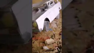 бумажная волга которая навсегда останеться недоделанной...#волга #лоурайдер #гидравлика @HANSONTOM