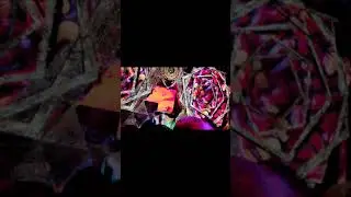 ☯PLANKTON LIVE ☯ Unity Gathering 2024 ☯