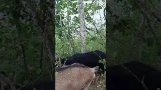 19 июня 2021 г.
