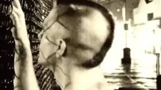 Male Room ‎– You Are Not My Lover