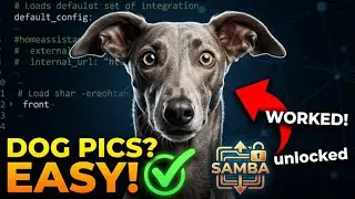 Home Assistant Samba Tutorial | Edit Config & Add Cute Dog Pics 🐶
