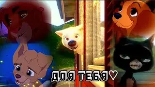 — Видео для каждого из вас!