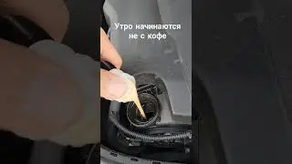 Ceratec Liqui Moly Кофе в Движок #audi