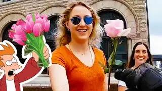 I Gave Flowers to Strangers
