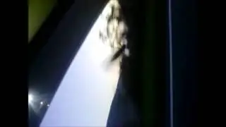 The Bugs Can't Stop