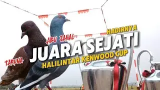 JUARA SEJATI DI EVENT HALILINTAR KENWOOD LAPAK LEGOK CLILE PEKALONGAN