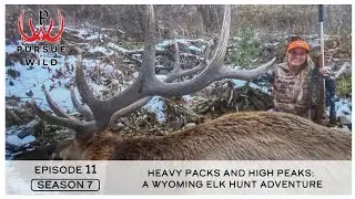Heavy Packs and High Peaks: A Wyoming Elk Hunt Adventure