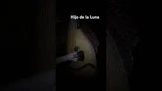 @mecano6682 - Hijo de la Luna bandura sound cover