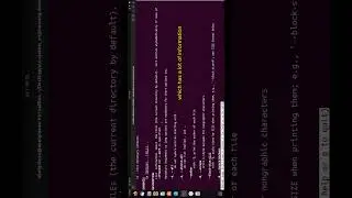 How to use the man command in the linux terminal 