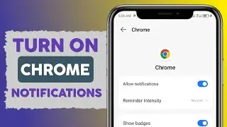 How to Enable Chrome Notifications: Step-by-Step Guide for Desktop & Mobile