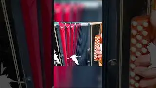 Журавли! Акция памяти погибших в страшном теракте в Крокус Сити Холл  Превратились в белых журавлей