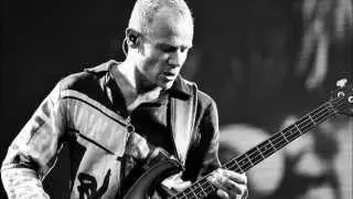 Red Hot Chili Peppers - Can't Stop - Live Dublin 2012