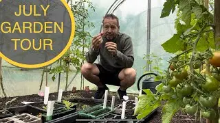 Garden tour July 2022 - mid season report