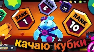 КАЧАЮ КУБКИ ЗА НОВЫХ БРАВЛЕРОВ🏆 в brawl stars🔥