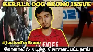 Kerala Dog Bruno Video Issue Explained | Justice For Bruno | Tamil |  Mr Malik