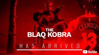 The BlaqKobra Build | NBA 2K25 (Specs in Description)