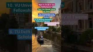 Top 10 Scholarships in the Netherlands for International Students 