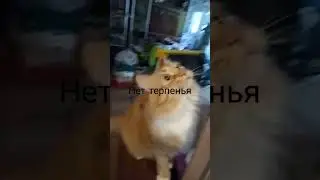всех люблю