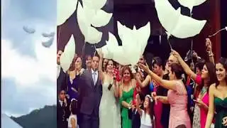 globos paloma